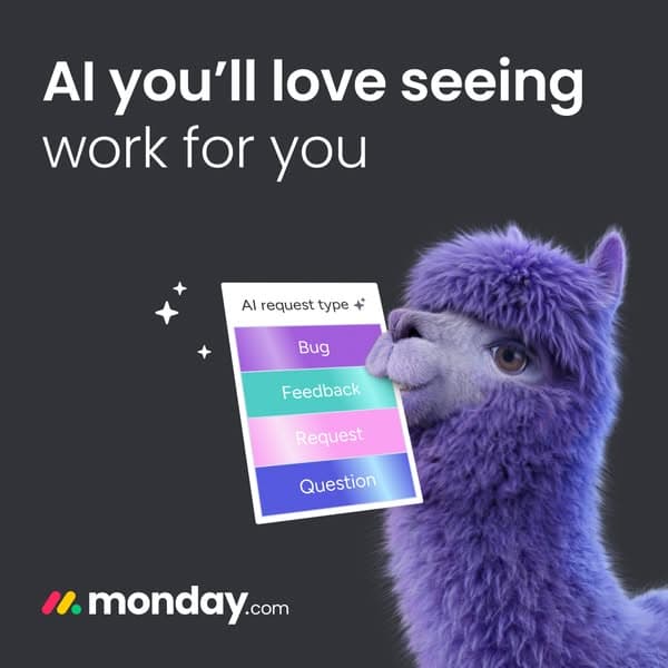 Demo Meta ad reskinned into the monday.com brand